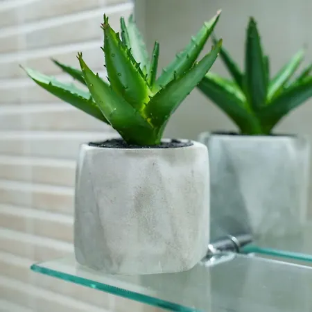 Apartment L'escale - Ultracentral Craiova