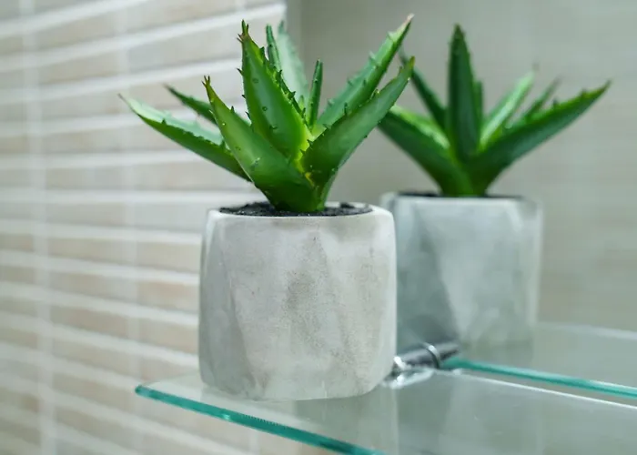 דירה L'escale - Ultracentral קריובה